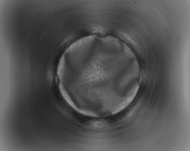 X0000094940215200712271619