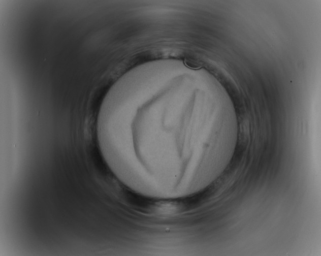X0000094940218200712271619