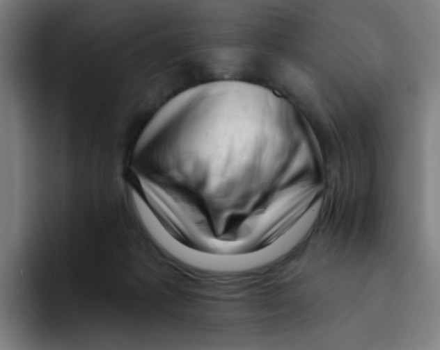 X0000094940221200712271619