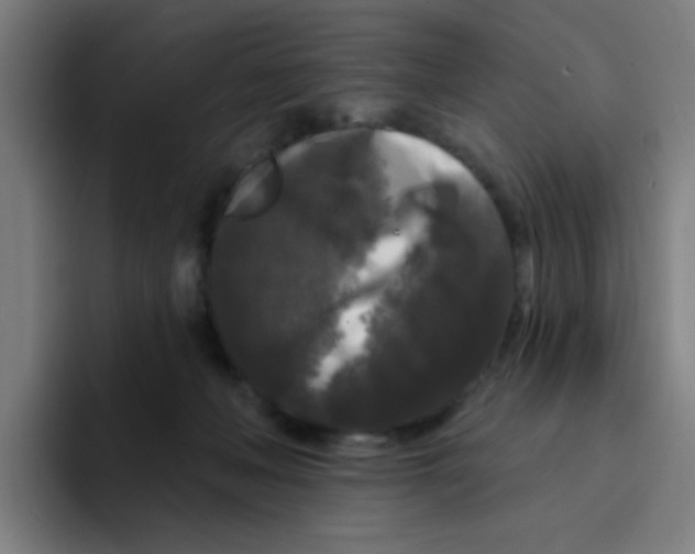 X0000094940222200712271619