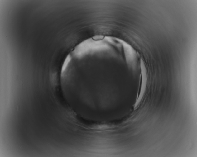 X0000094940224200712271619