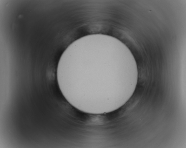 X0000094940226200712271619