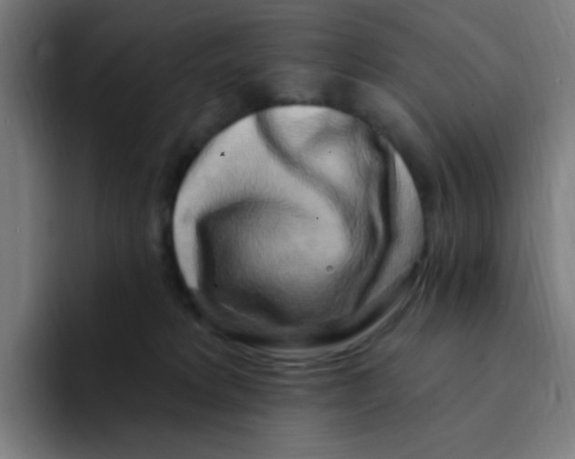 X0000094940229200712271619