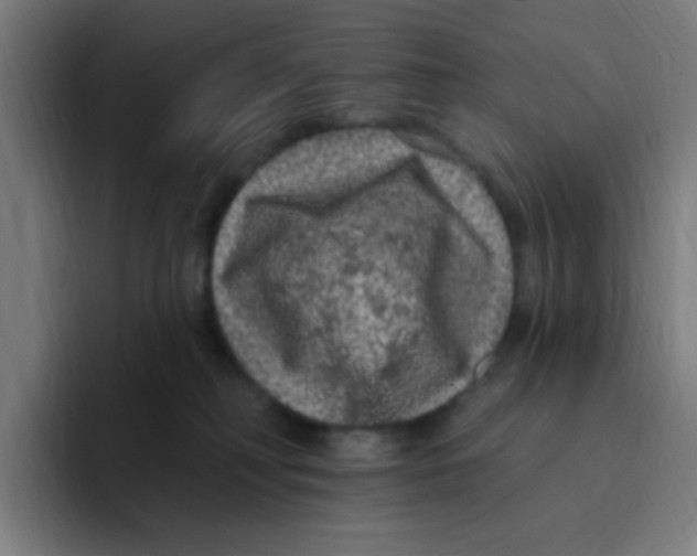 X0000094940230200712271619