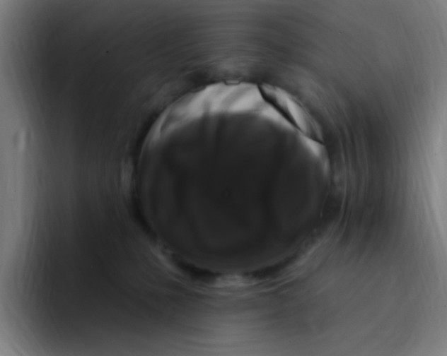 X0000094940231200712271619