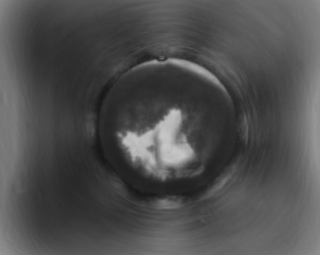 X0000094940232200712271619