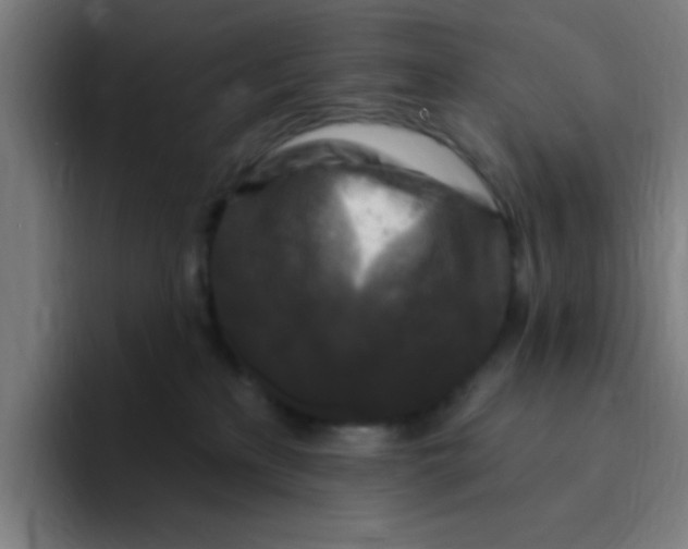 X0000094940233200712271619