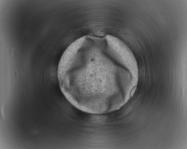 X0000094940234200712271619