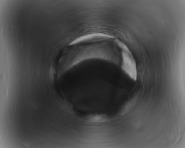 X0000094940235200712271619