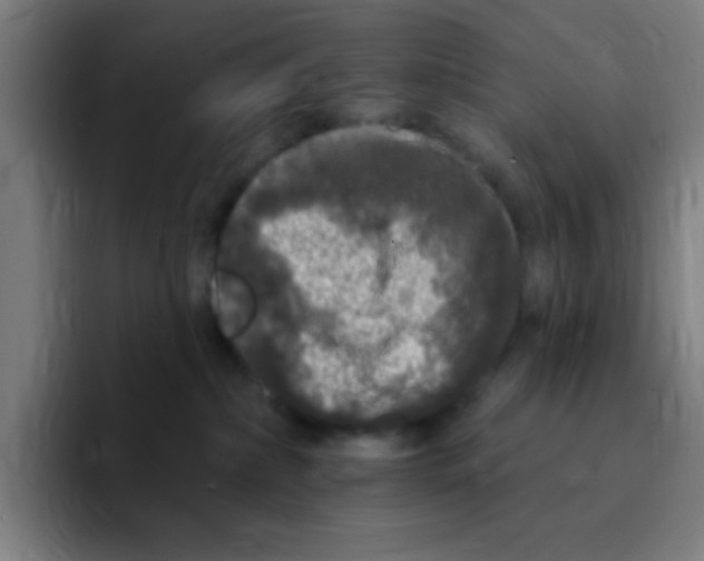 X0000094940236200712271619