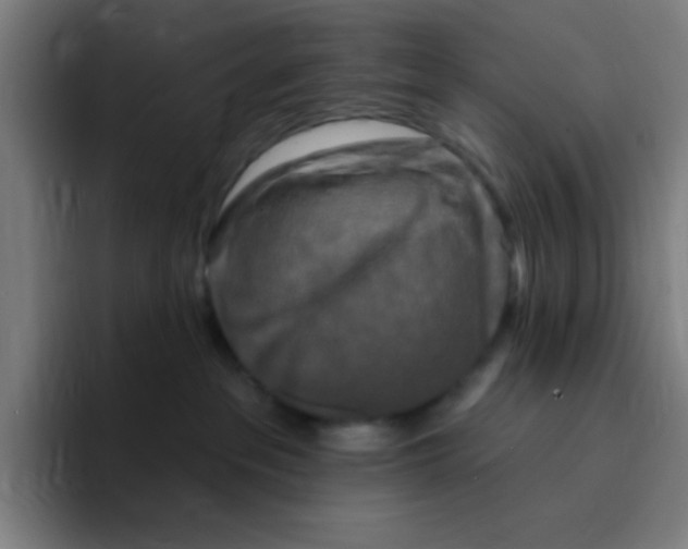 X0000094940237200712271619