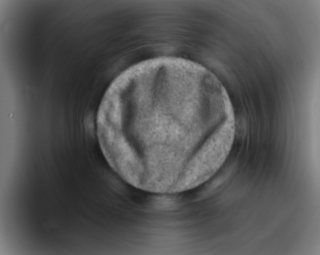 X0000094940238200712271619