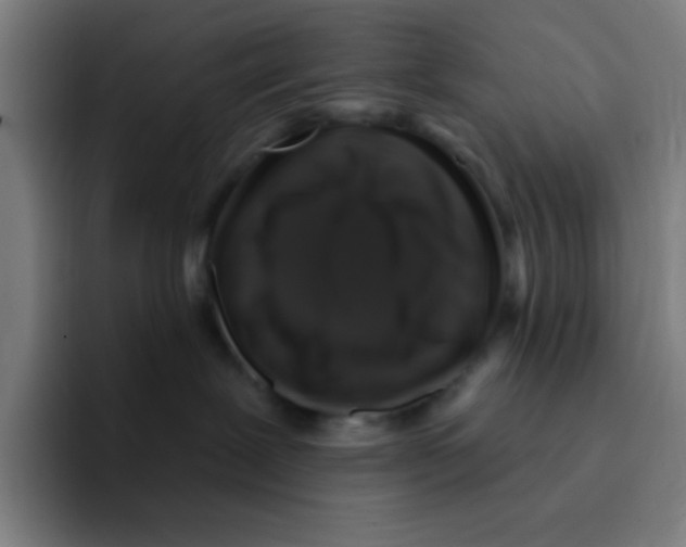 X0000094940239200712271619