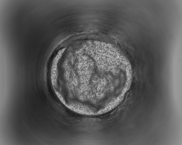 X0000094940242200712271618