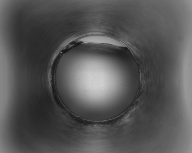 X0000094940244200712271618