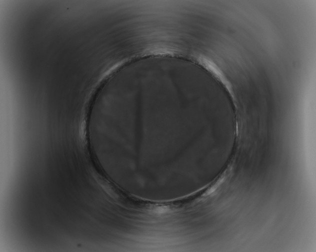 X0000094940249200712271618