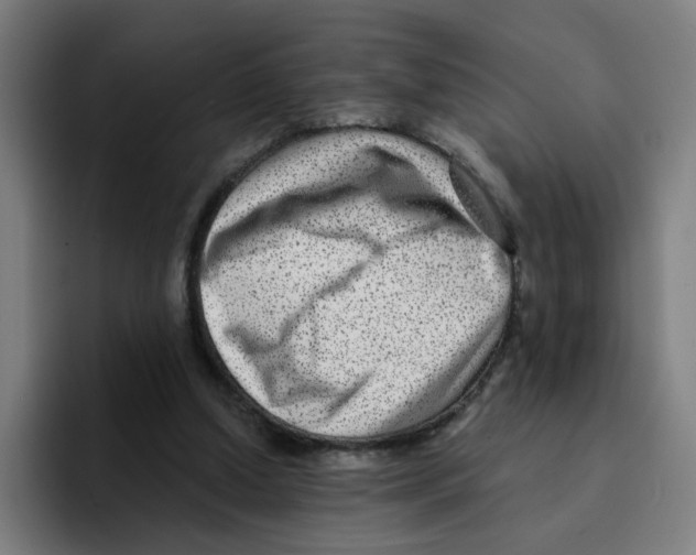 X0000094940250200712271618