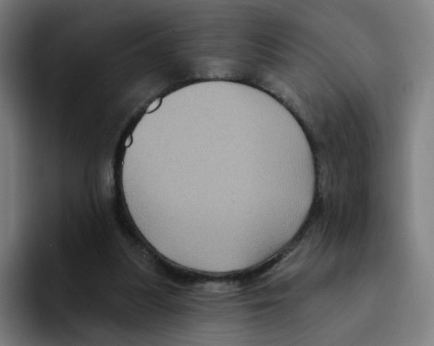 X0000094940251200712271618