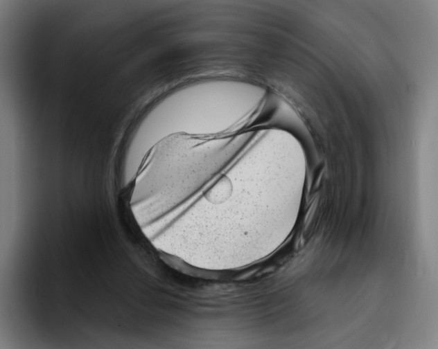 X0000094940252200712271618