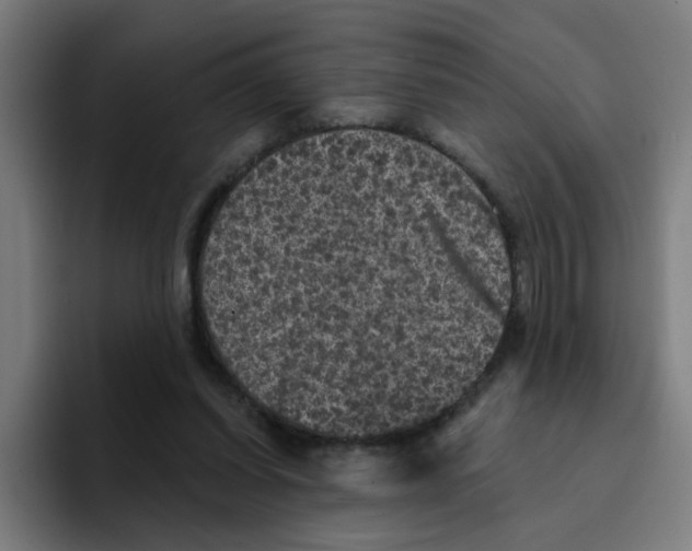 X0000094940254200712271619