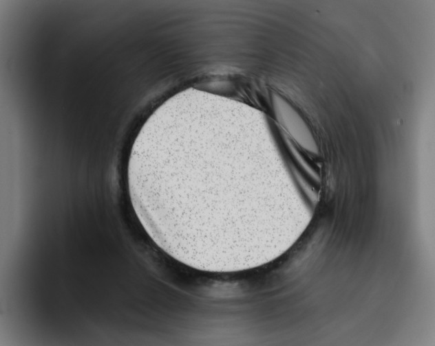X0000094940256200712271619