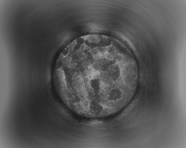 X0000094940257200712271619