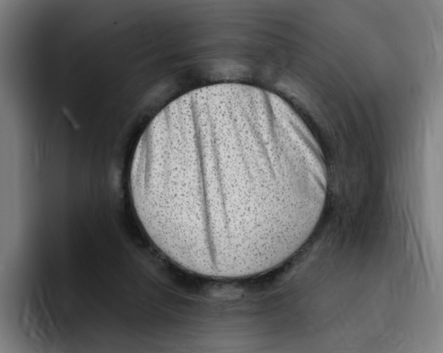 X0000094940258200712271619