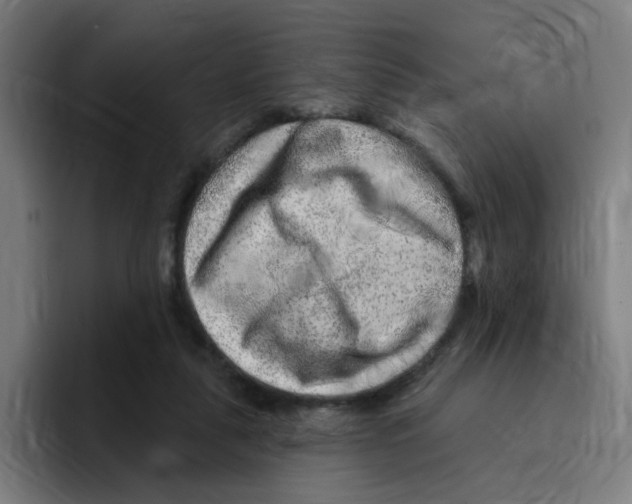 X0000094940259200712271619