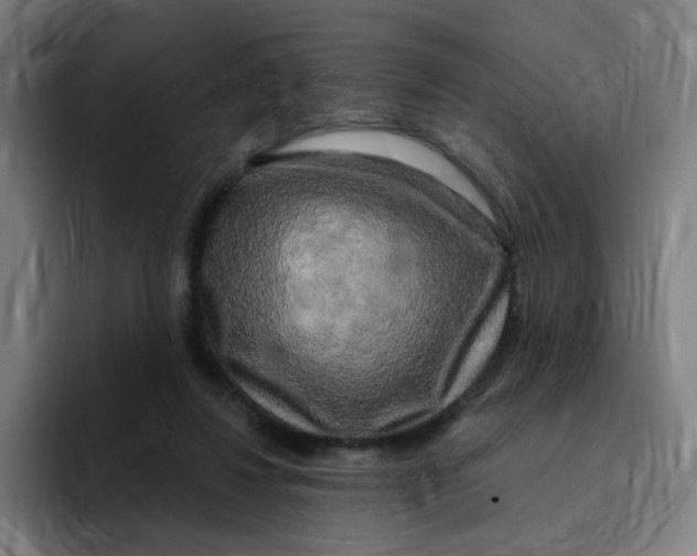 X0000094940260200712271619
