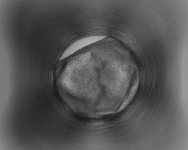 X0000094940263200712271619