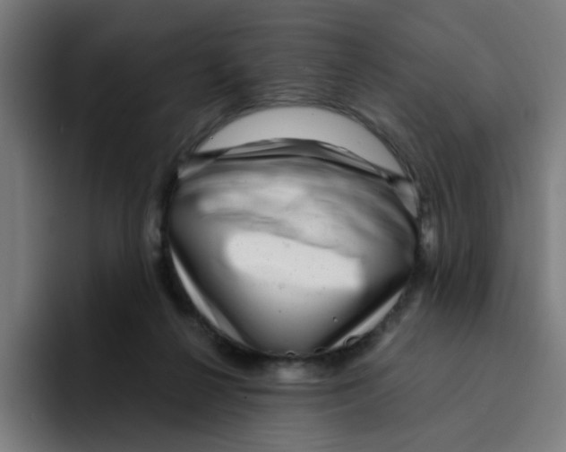 X0000094940264200712271619