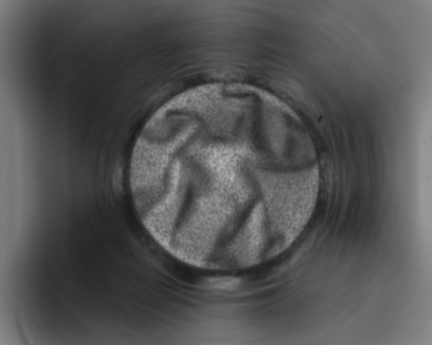 X0000094940266200712271619
