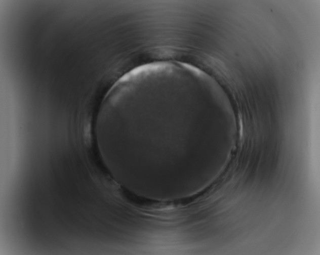 X0000094940267200712271619