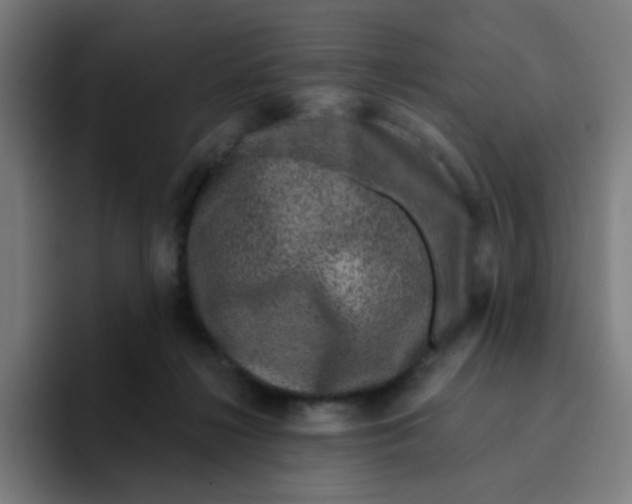 X0000094940268200712271619