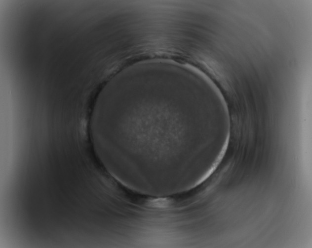 X0000094940269200712271619
