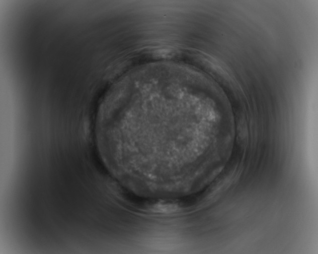 X0000094940270200712271619