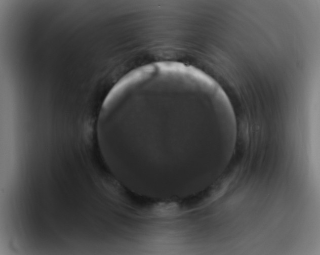 X0000094940271200712271619