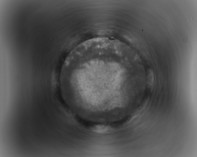X0000094940272200712271619