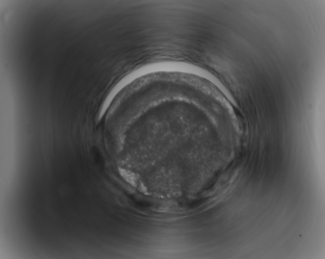 X0000094940273200712271619