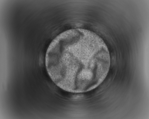 X0000094940274200712271619