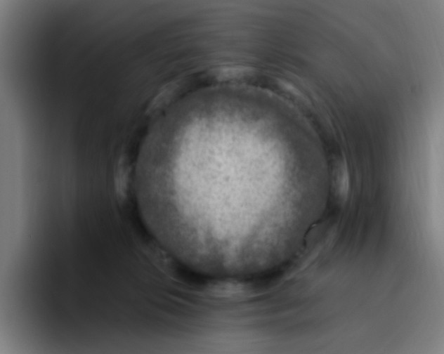 X0000094940276200712271619