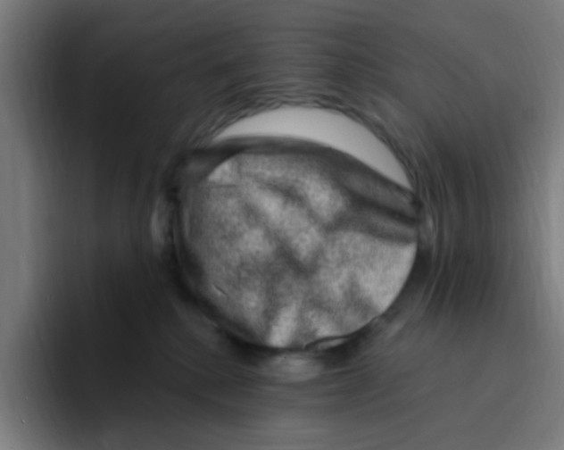 X0000094940280200712271619