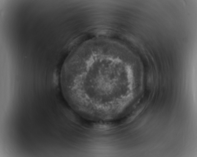 X0000094940282200712271619