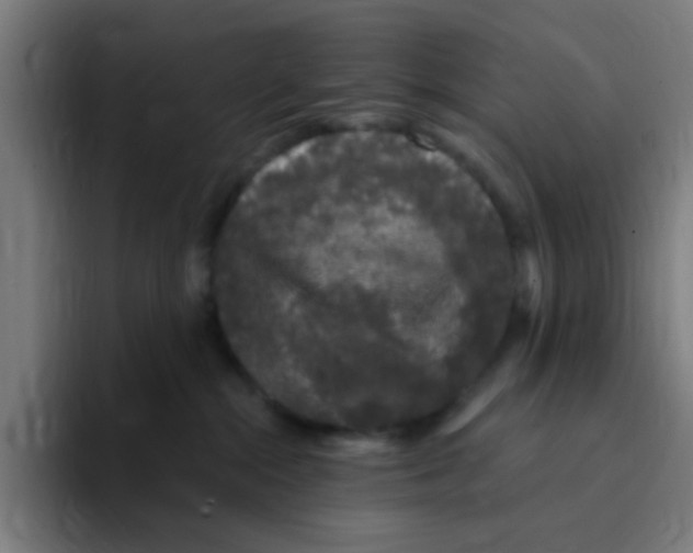 X0000094940284200712271619