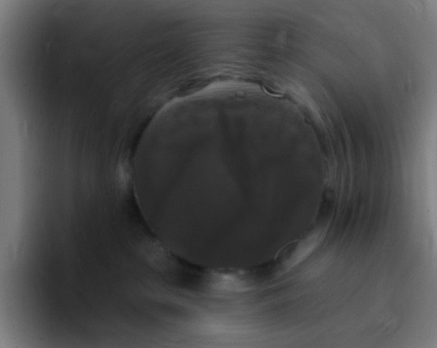 X0000094940285200712271619
