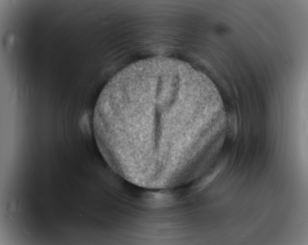 X0000094940286200712271619