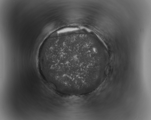 X0000094940290200712271618
