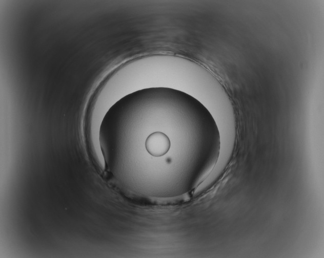 X0000094940292200712271618