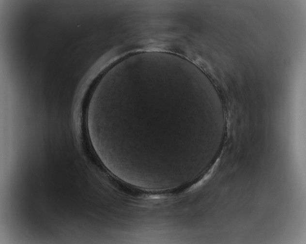 X0000094940295200712271618