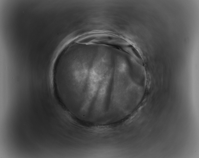 X0000094940296200712271618